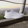 Runfalcon 5